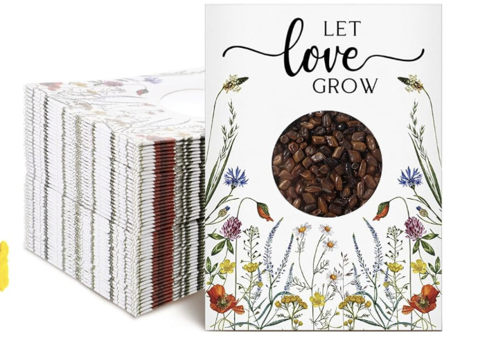 screenshot 2025 10 17 at 5.03.12 pm